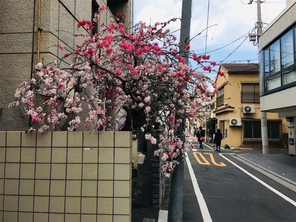 f:id:TokuheiKumagai:20200323202559j:image