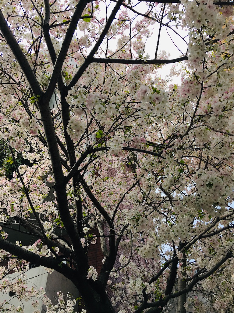 f:id:TokuheiKumagai:20200323202606j:image