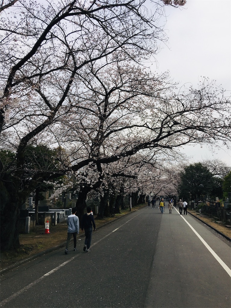 f:id:TokuheiKumagai:20200323202616j:image