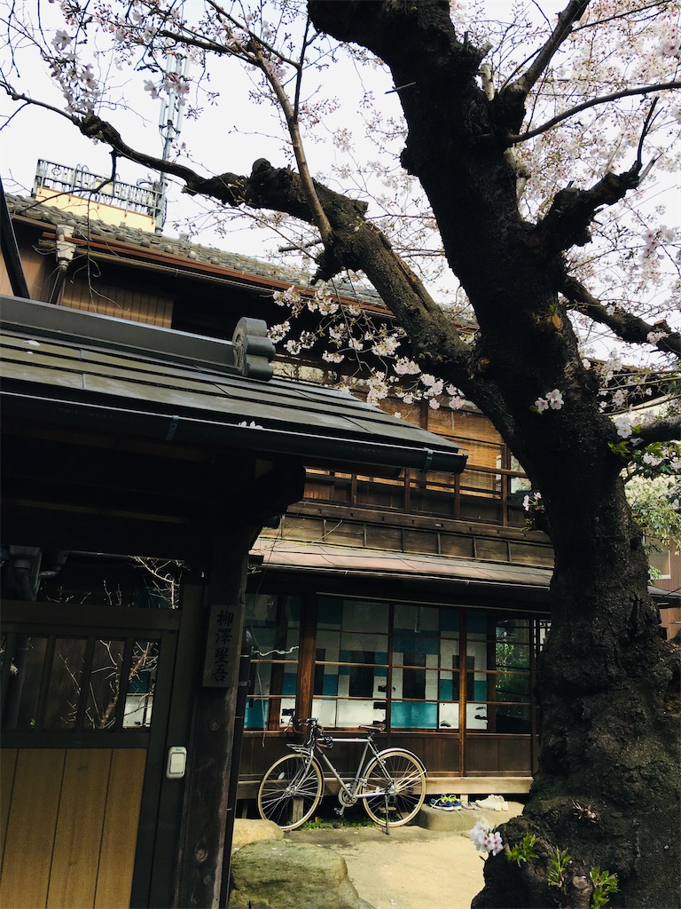 f:id:TokuheiKumagai:20200323202626j:image