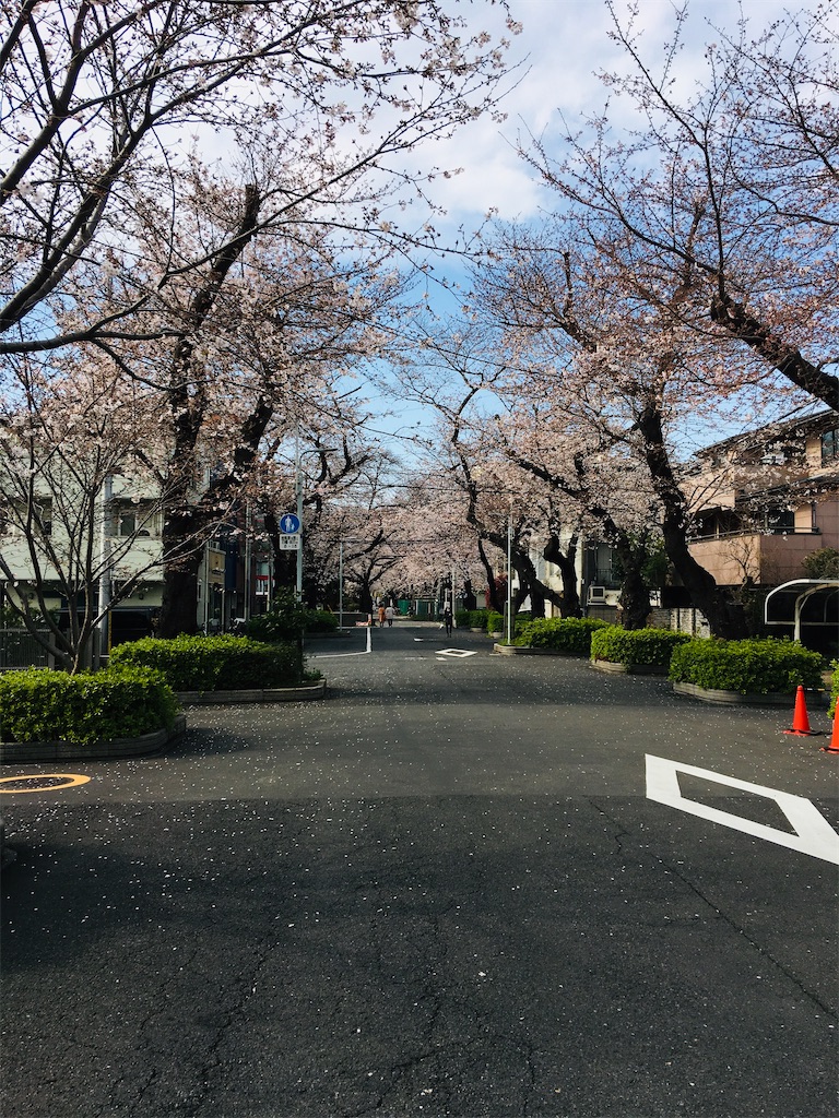 f:id:TokuheiKumagai:20200323202658j:image