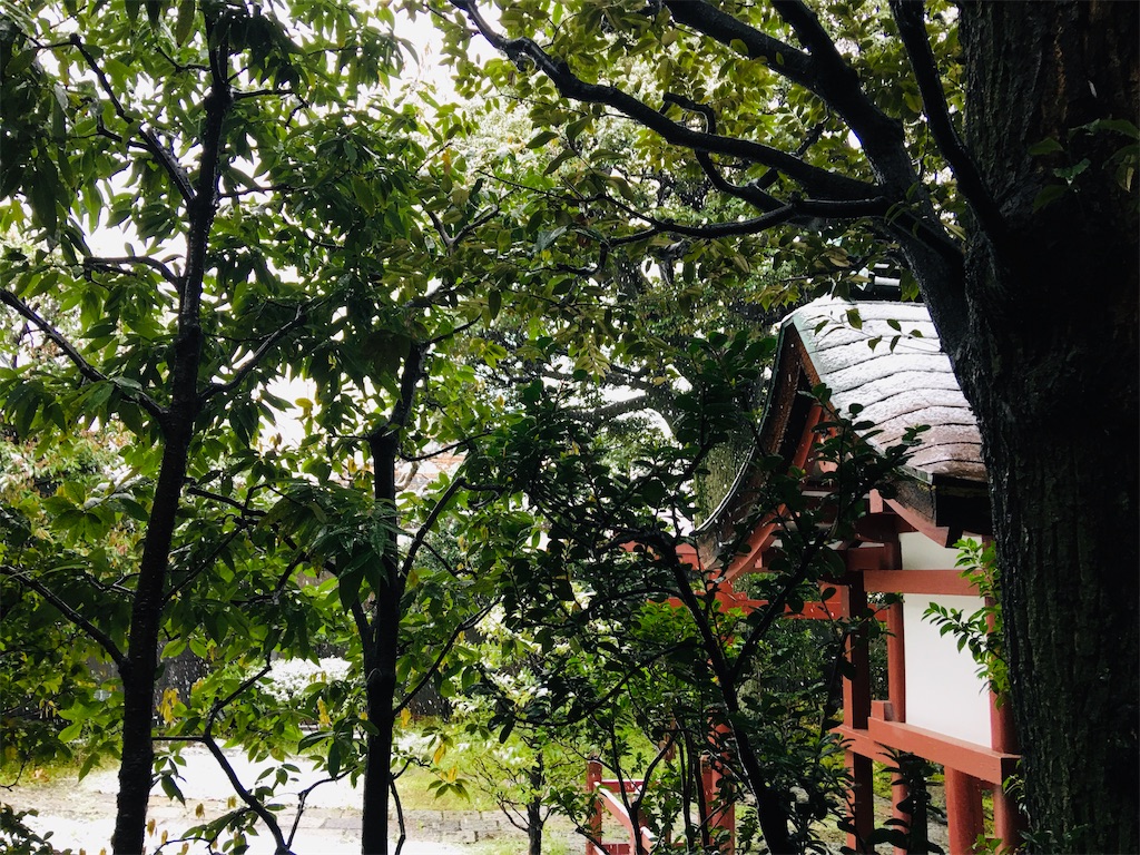 f:id:TokuheiKumagai:20200329193131j:image