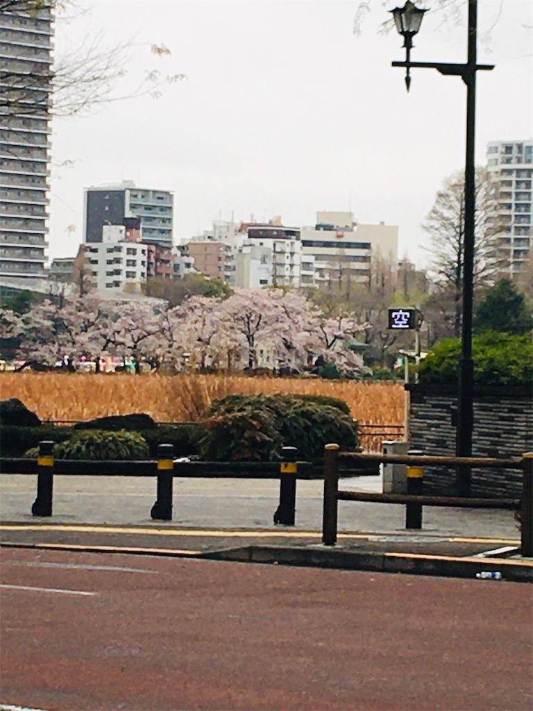 f:id:TokuheiKumagai:20200329193137j:image