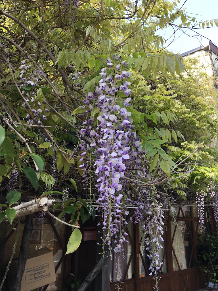 f:id:TokuheiKumagai:20200418230546j:image