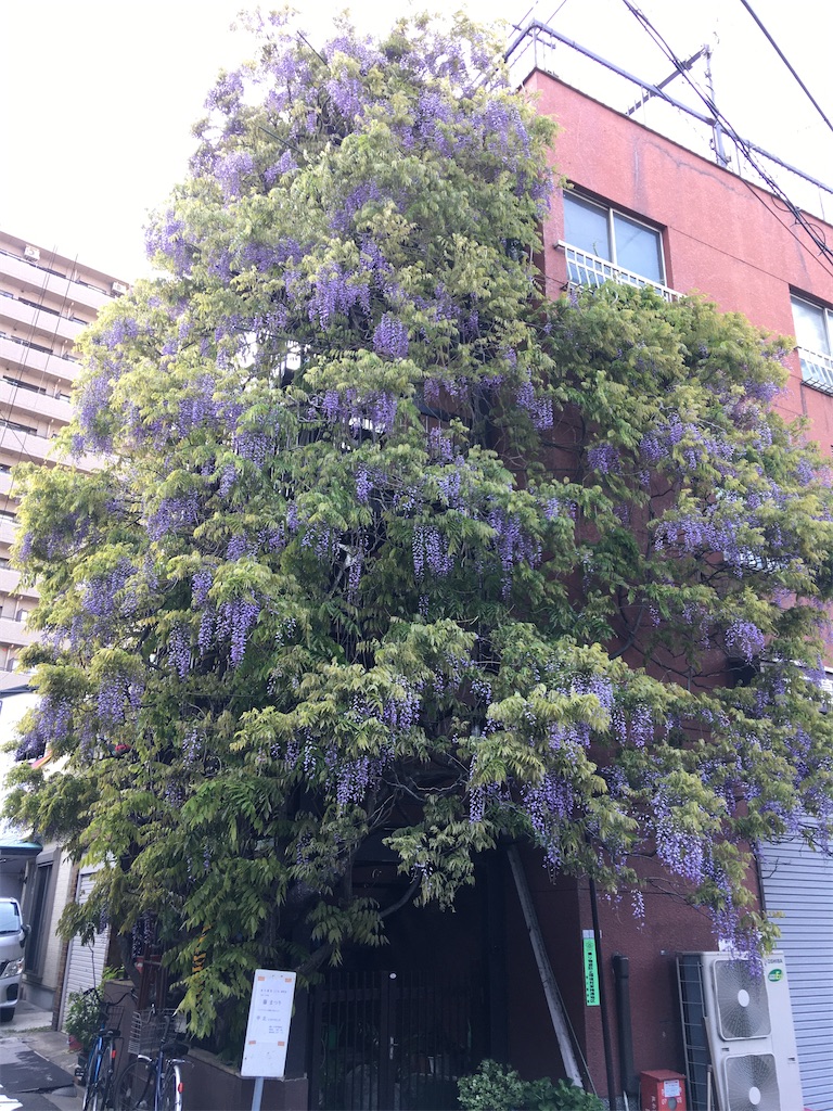 f:id:TokuheiKumagai:20200426212554j:image