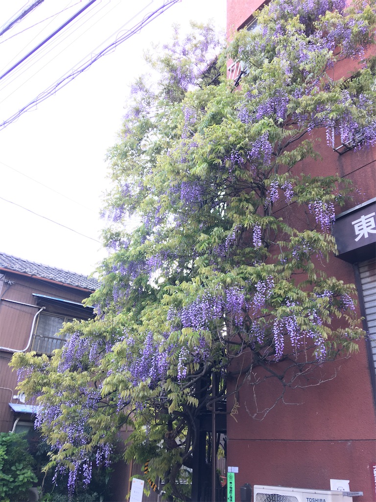 f:id:TokuheiKumagai:20200426212600j:image