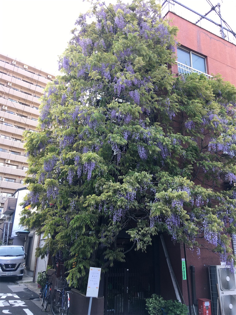 f:id:TokuheiKumagai:20200426212603j:image