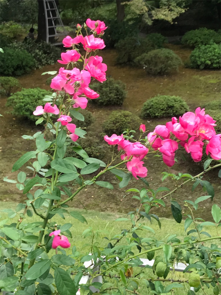 f:id:TokuheiKumagai:20201014215708j:plain