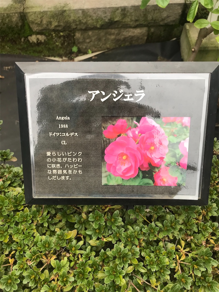 f:id:TokuheiKumagai:20201014215752j:plain
