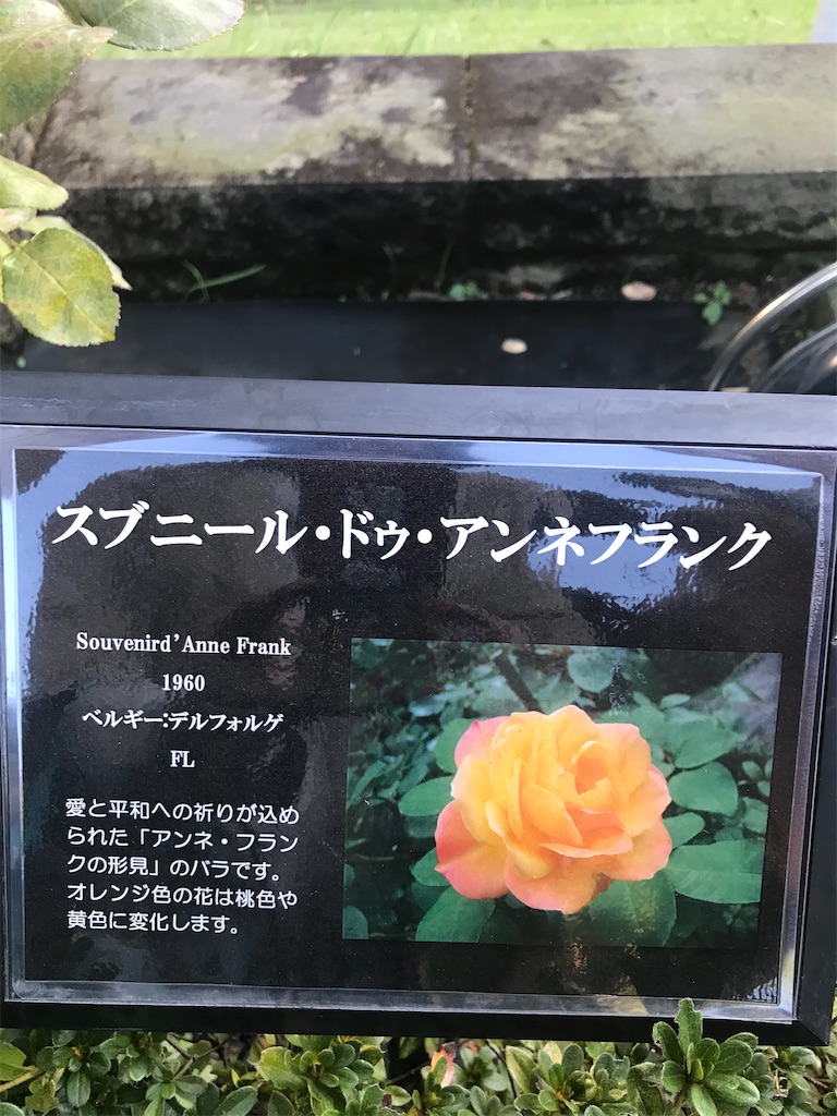 f:id:TokuheiKumagai:20201025224733j:plain