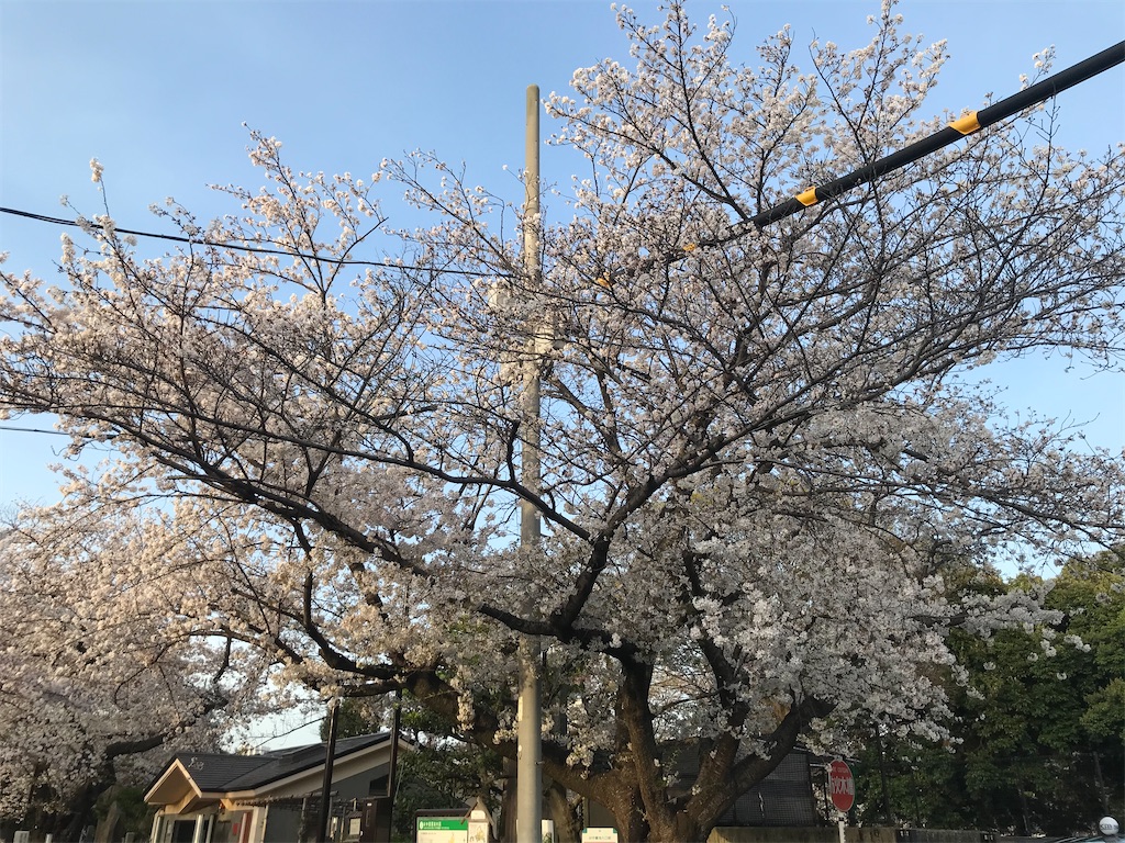 f:id:TokuheiKumagai:20210329223726j:plain