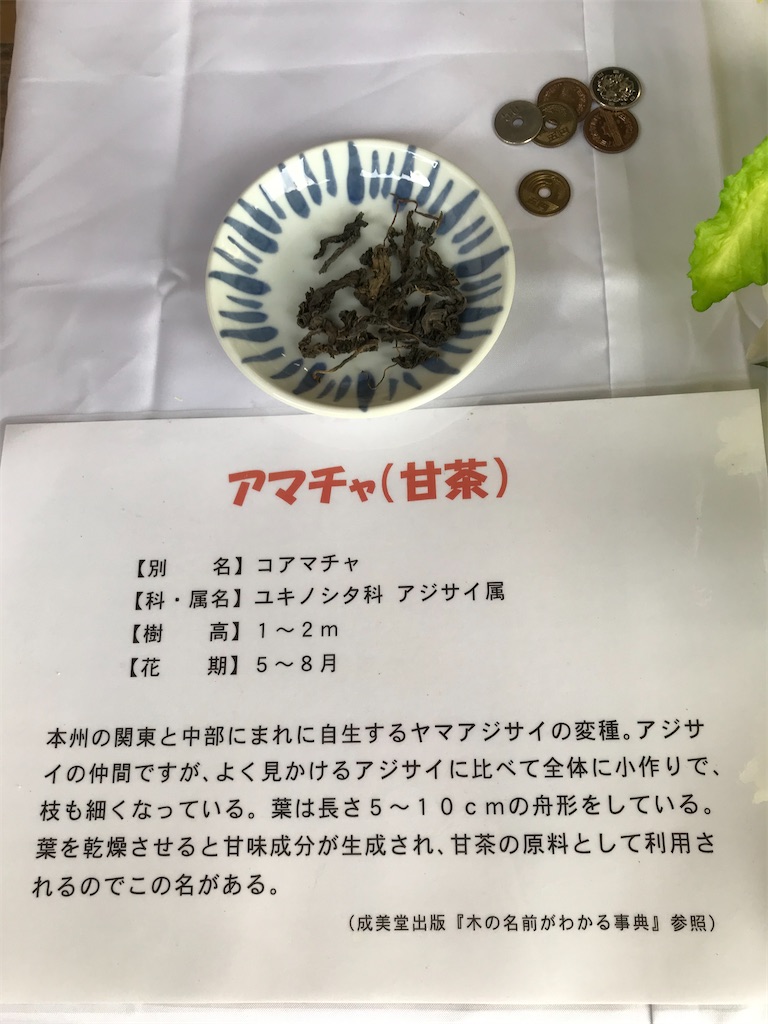 f:id:TokuheiKumagai:20210408195158j:plain