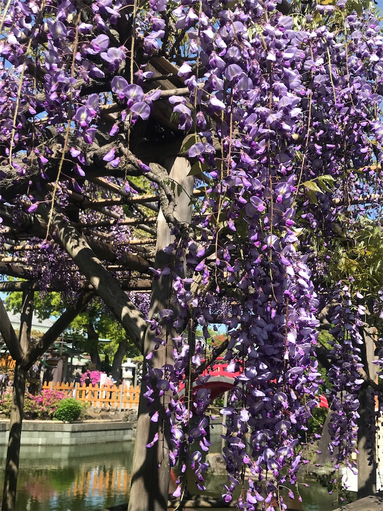 f:id:TokuheiKumagai:20210415222901j:plain