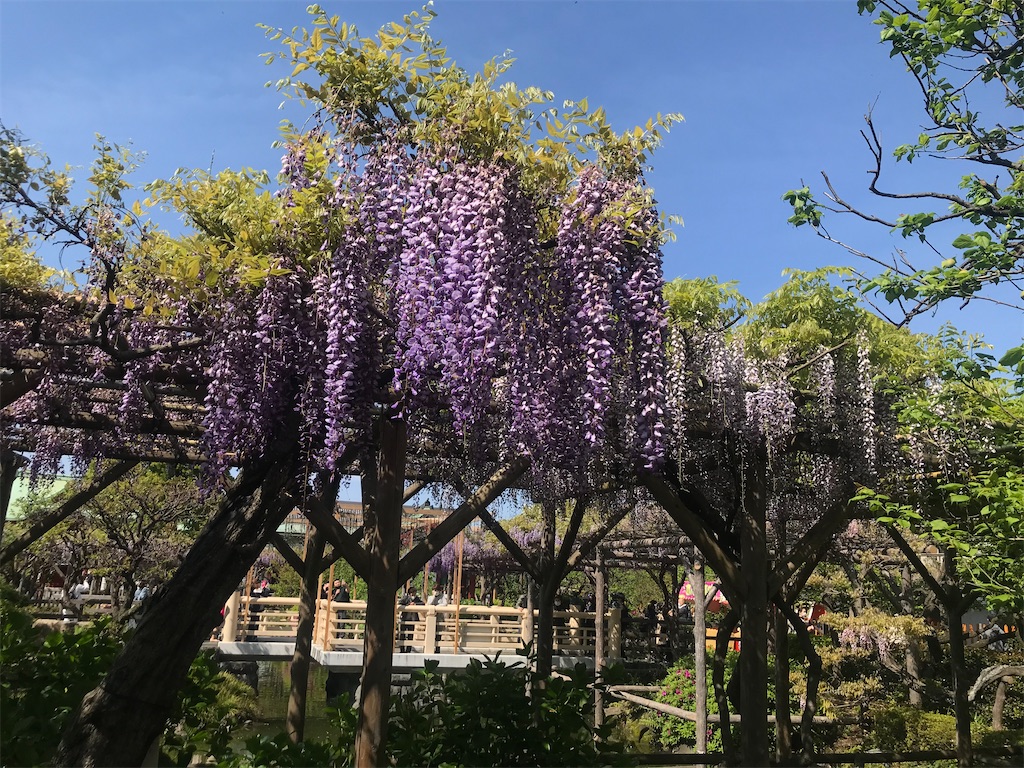 f:id:TokuheiKumagai:20210415222905j:plain