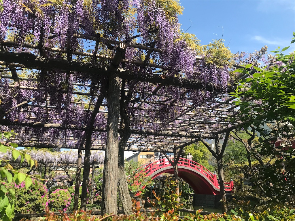 f:id:TokuheiKumagai:20210415222924j:plain