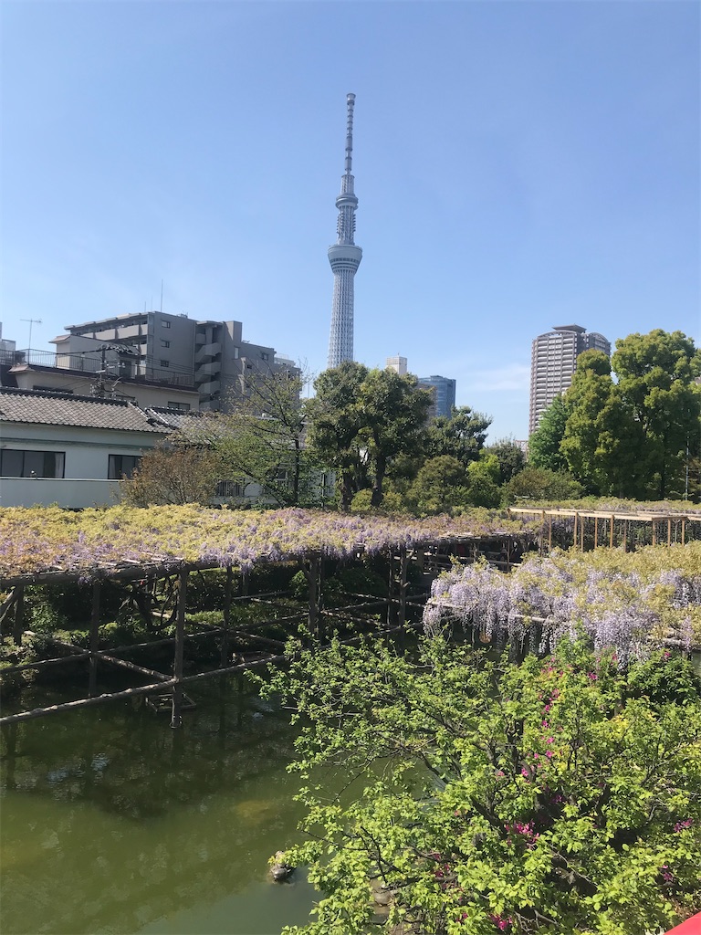 f:id:TokuheiKumagai:20210415222930j:plain