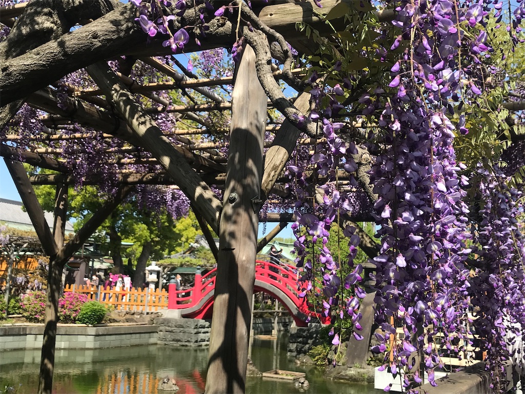 f:id:TokuheiKumagai:20210415222933j:plain