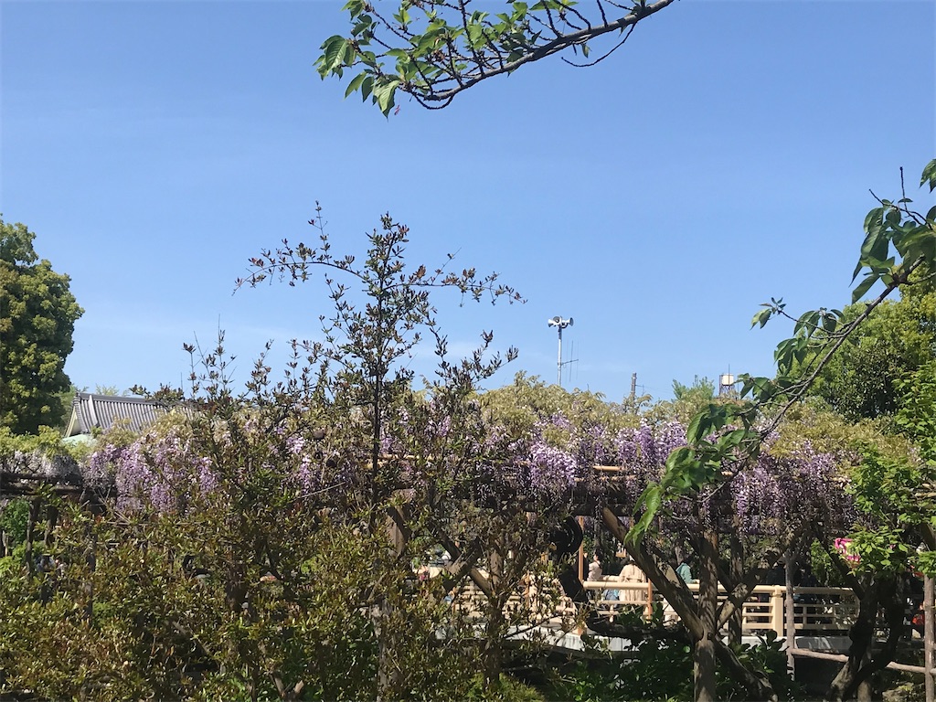 f:id:TokuheiKumagai:20210415222937j:plain