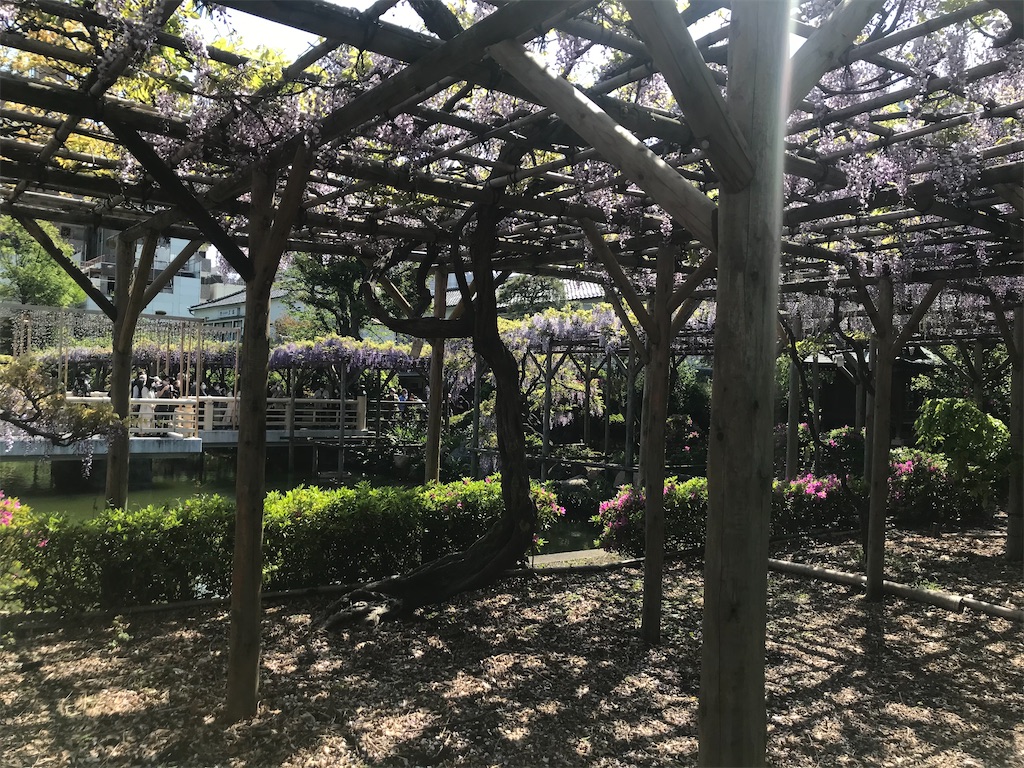 f:id:TokuheiKumagai:20210415222945j:plain