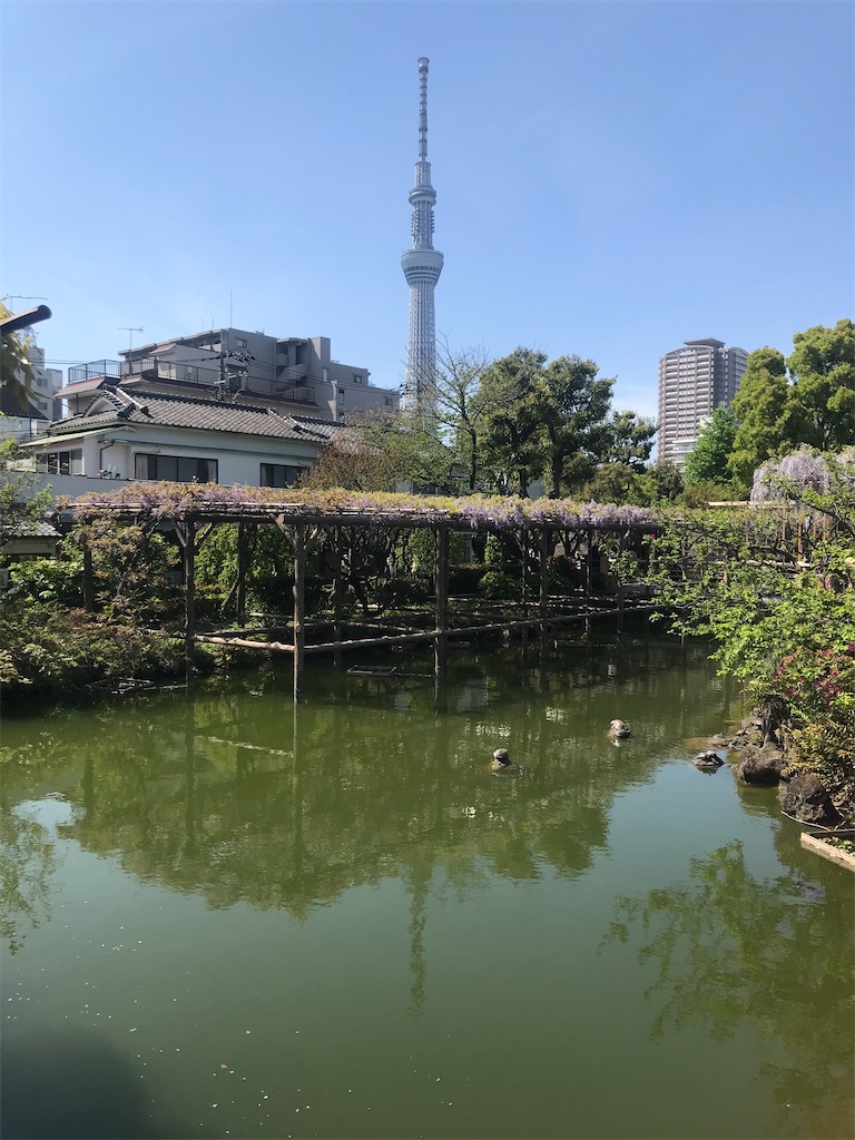 f:id:TokuheiKumagai:20210415222955j:plain