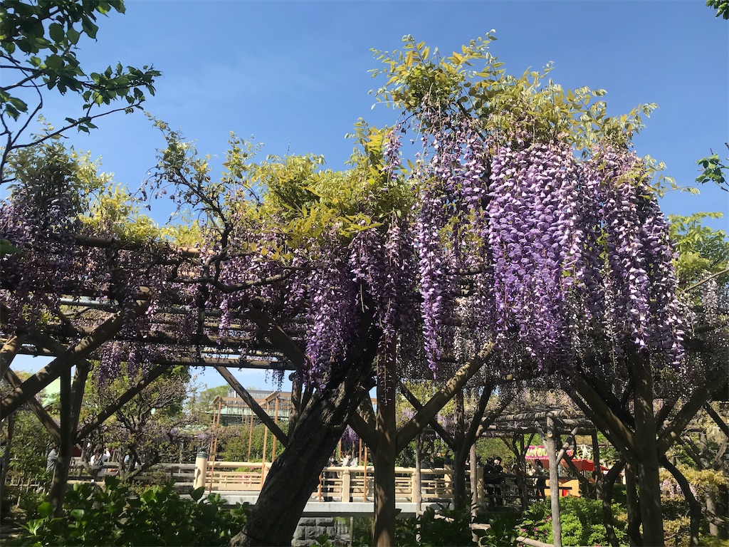 f:id:TokuheiKumagai:20210415222958j:plain