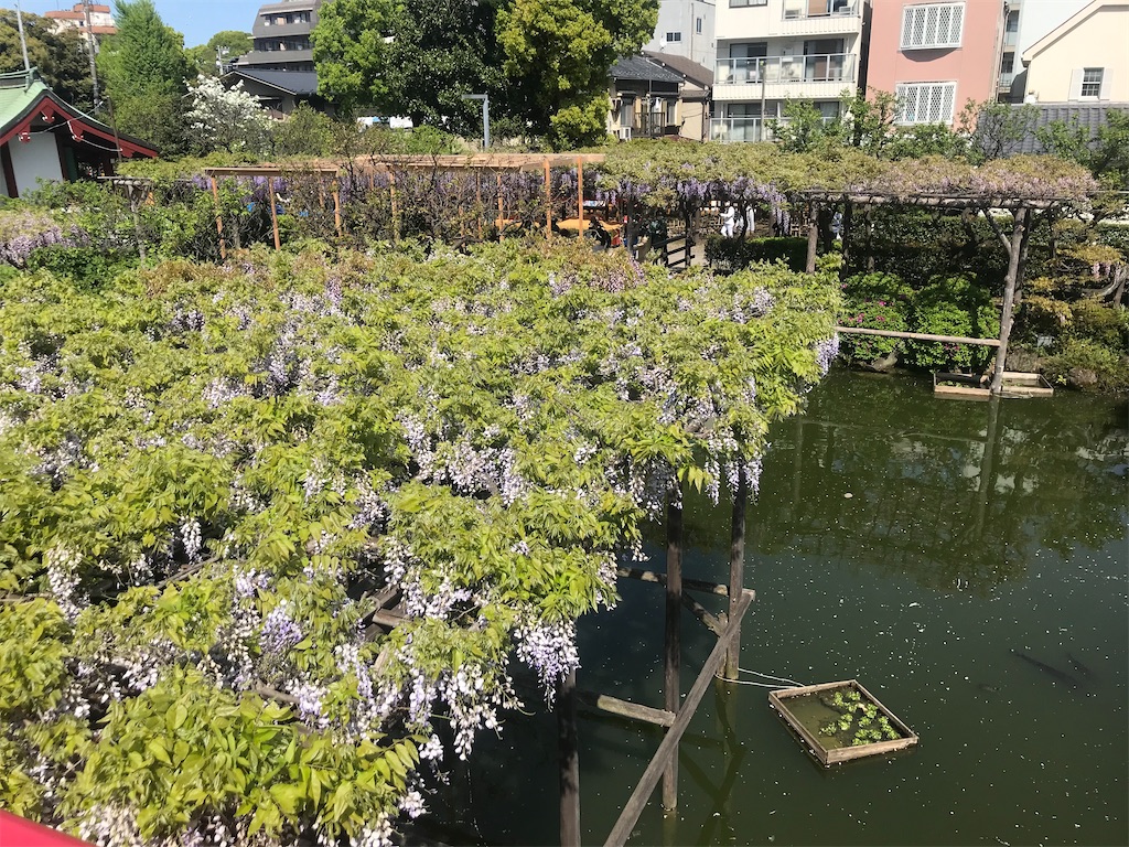 f:id:TokuheiKumagai:20210415223056j:plain