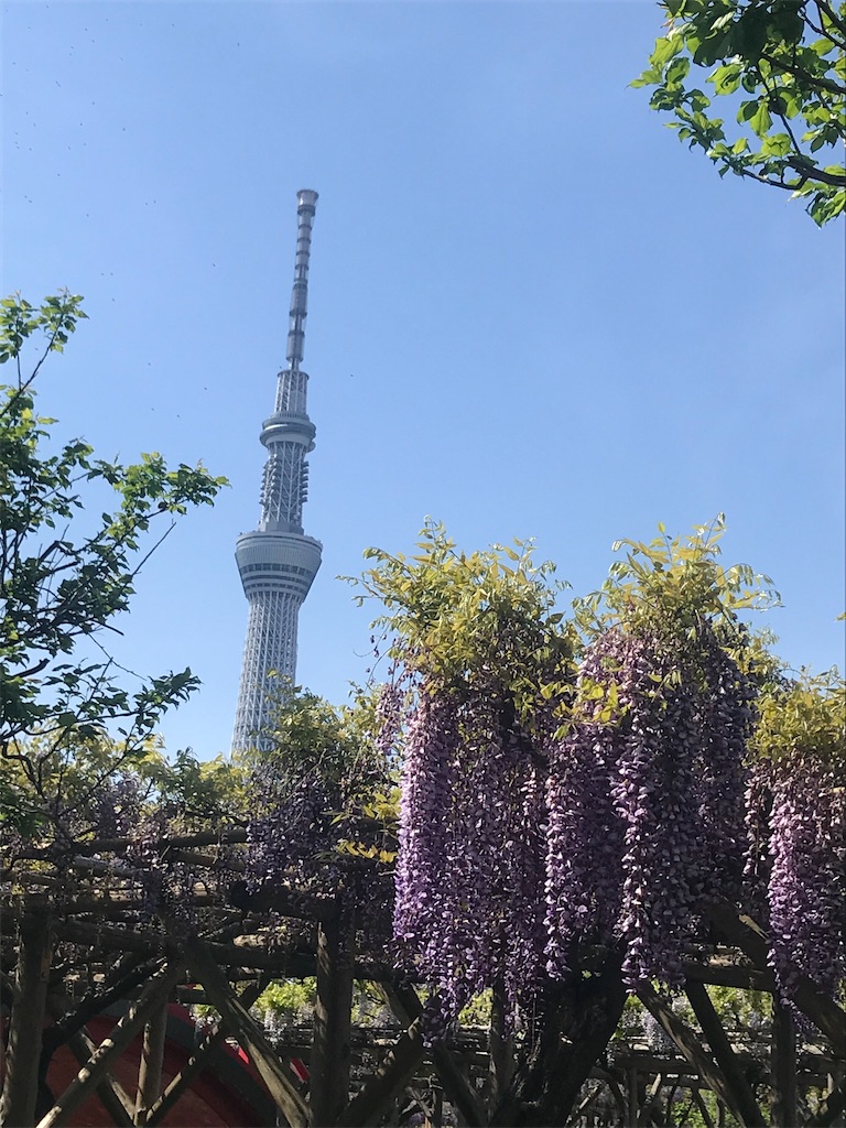 f:id:TokuheiKumagai:20210415223100j:plain