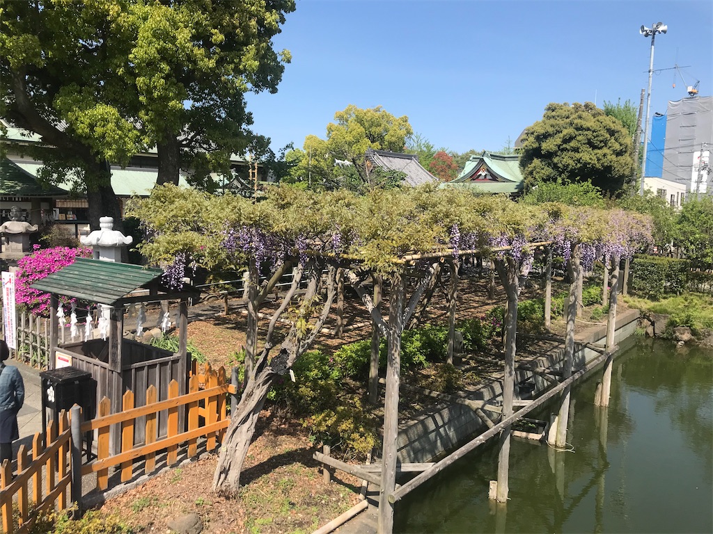 f:id:TokuheiKumagai:20210415223103j:plain