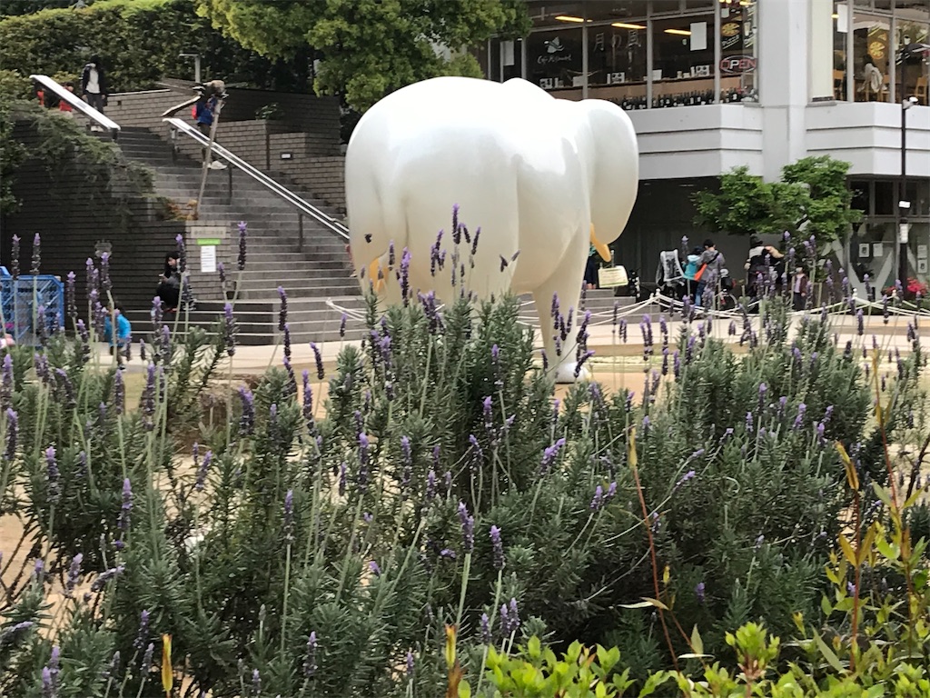 f:id:TokuheiKumagai:20210415223524j:plain