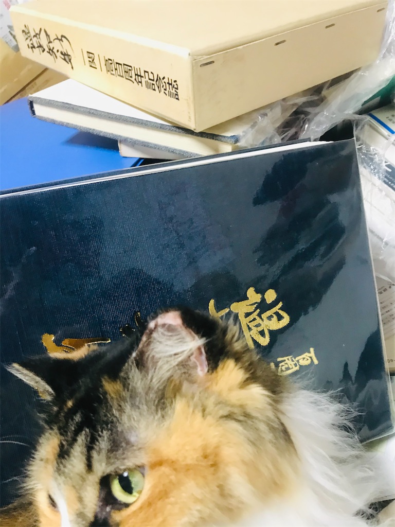 f:id:TokuheiKumagai:20210515203432j:plain