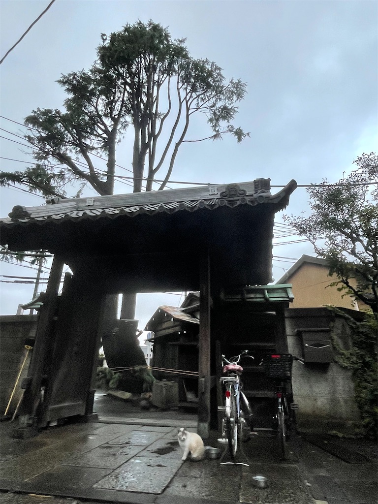 f:id:TokuheiKumagai:20211207101229j:image f:id:TokuheiKumagai:20211207101229j:image