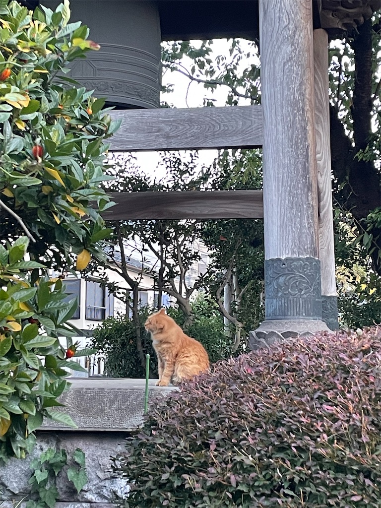 f:id:TokuheiKumagai:20211207101231j:image f:id:TokuheiKumagai:20211207101231j:image