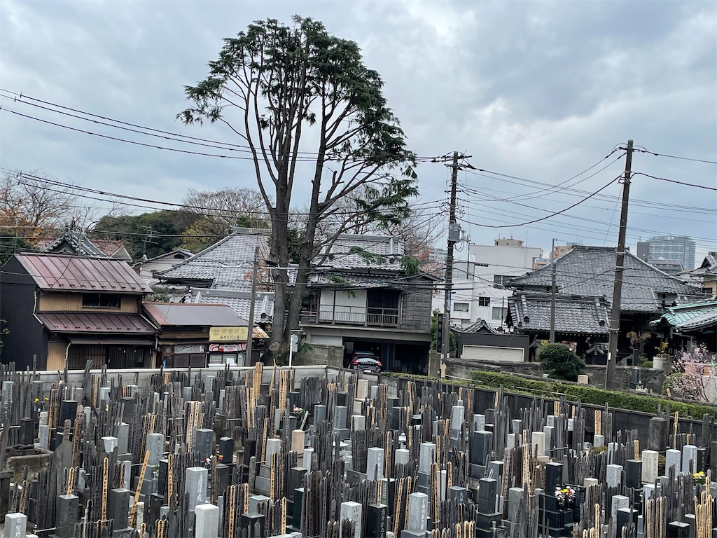 f:id:TokuheiKumagai:20211207142736j:image f:id:TokuheiKumagai:20211207142736j:image