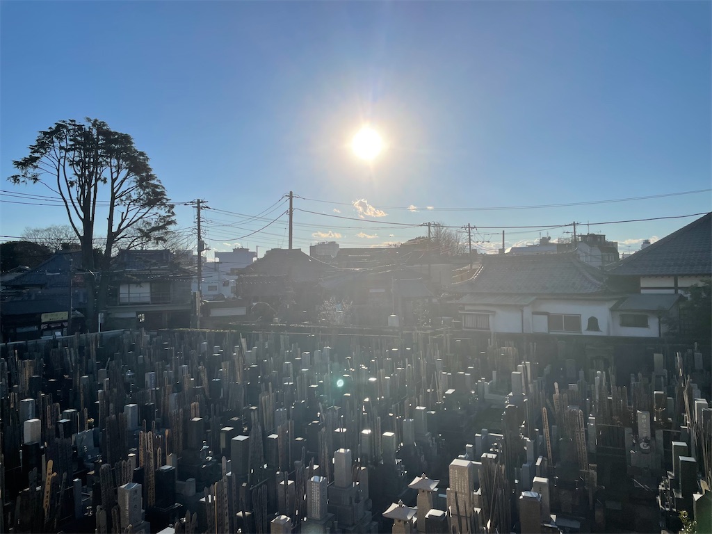 f:id:TokuheiKumagai:20220120192046j:image