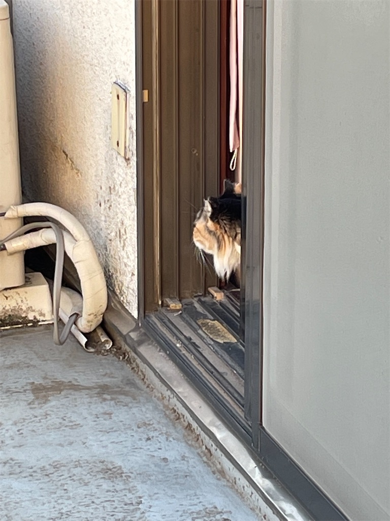 f:id:TokuheiKumagai:20220129184526j:image