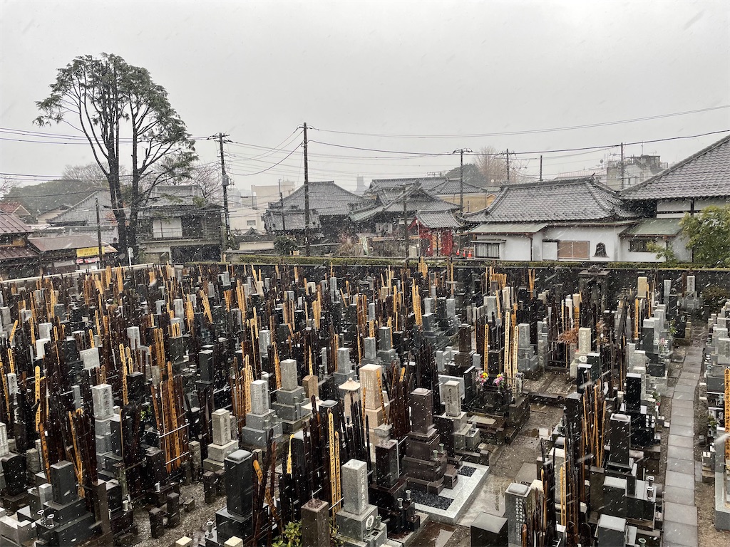 f:id:TokuheiKumagai:20220210192947j:image