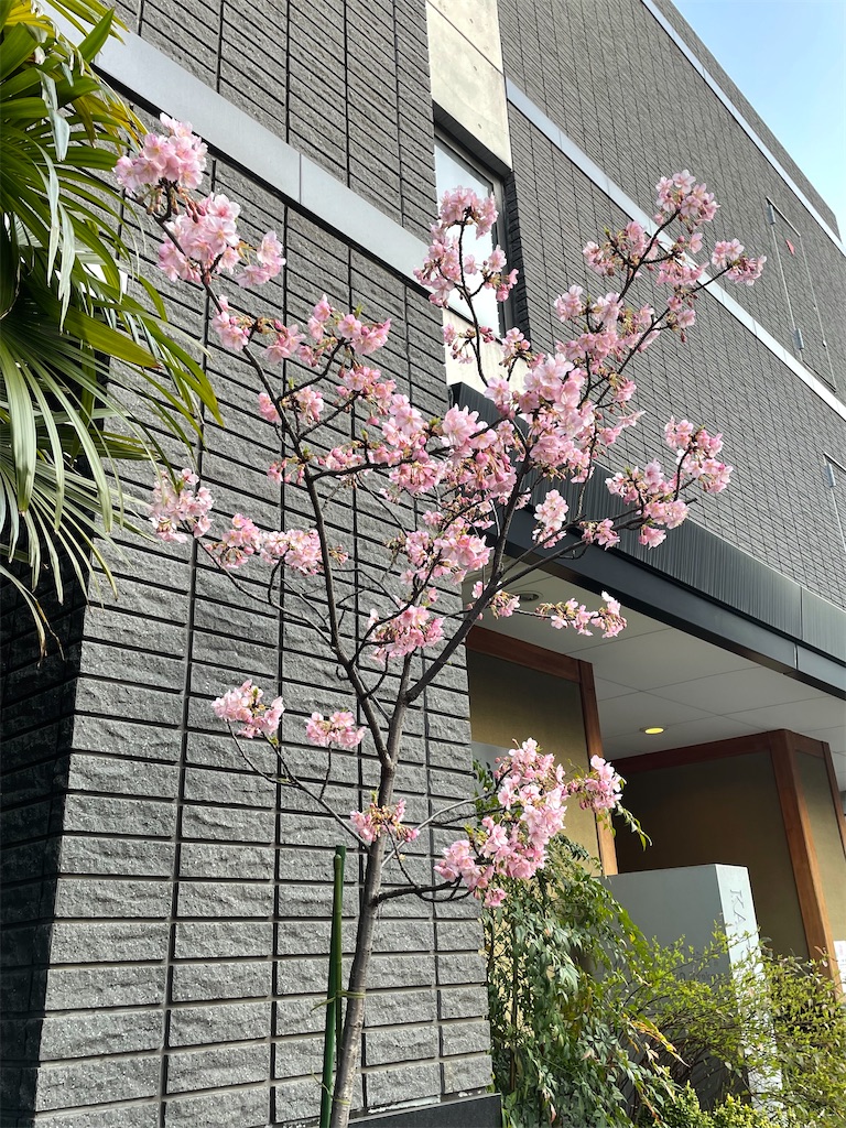 f:id:TokuheiKumagai:20220310222247j:image