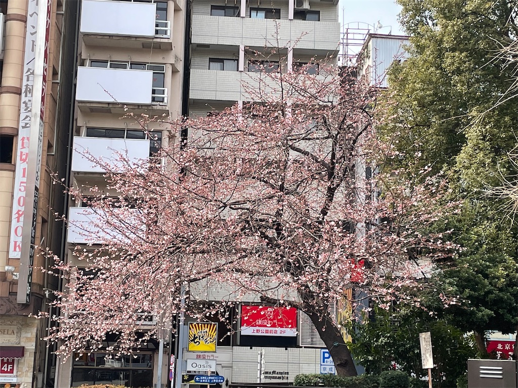 f:id:TokuheiKumagai:20220310222257j:image