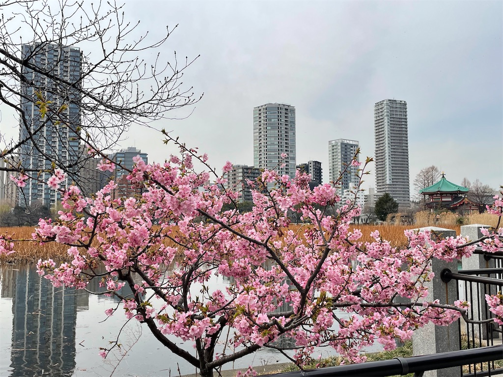 f:id:TokuheiKumagai:20220310222302j:image