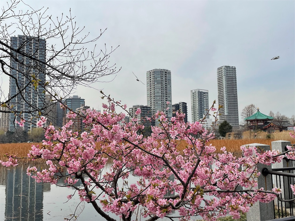 f:id:TokuheiKumagai:20220310222305j:image