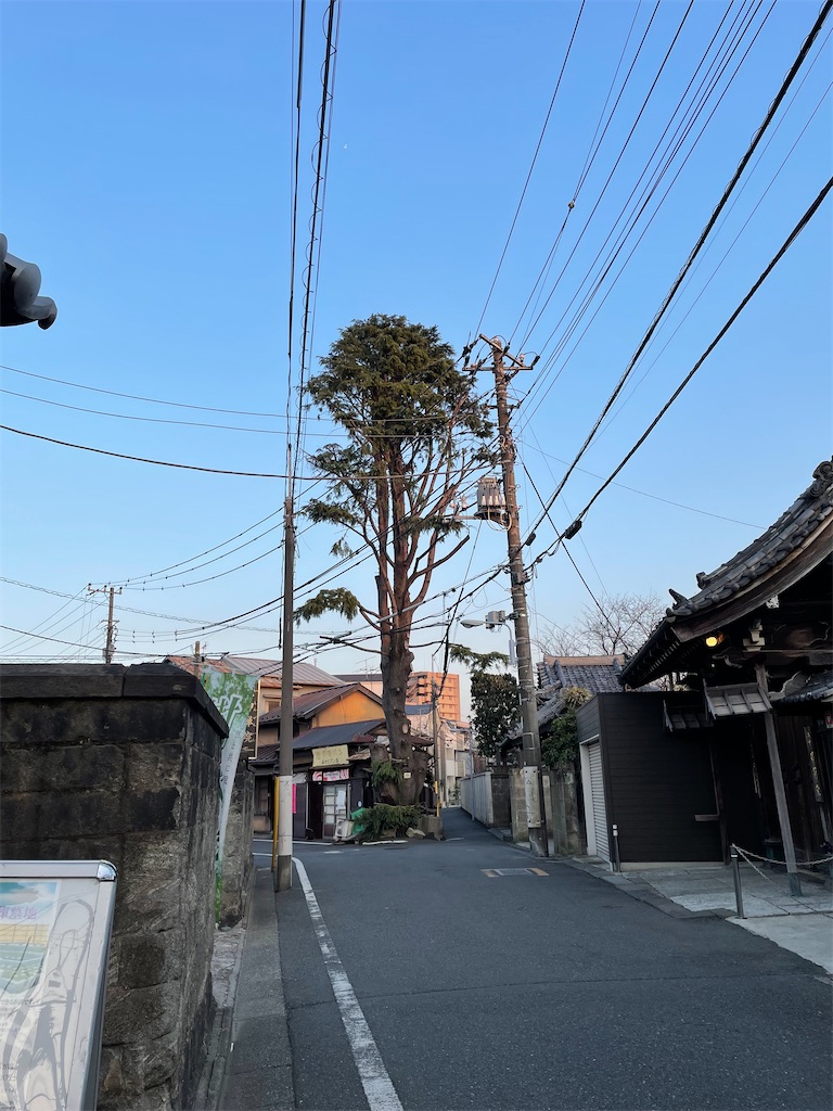 f:id:TokuheiKumagai:20220310222319j:image