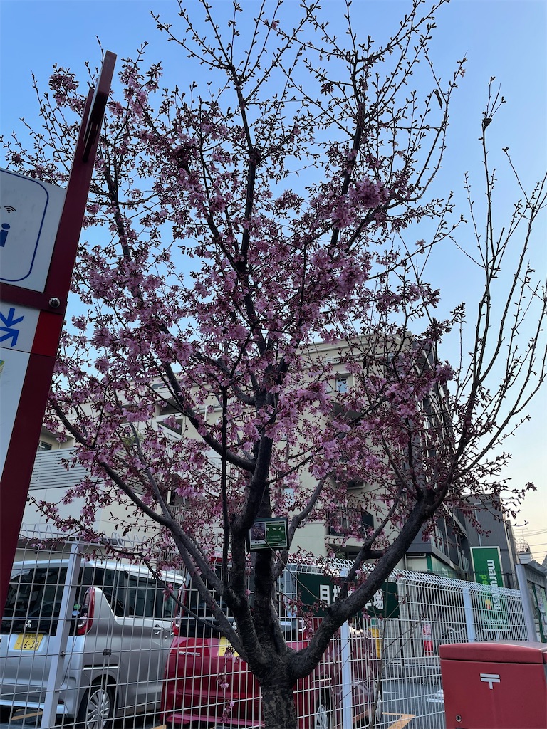 f:id:TokuheiKumagai:20220310222327j:image