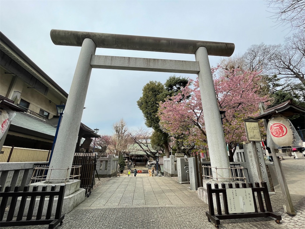 f:id:TokuheiKumagai:20220310222333j:image