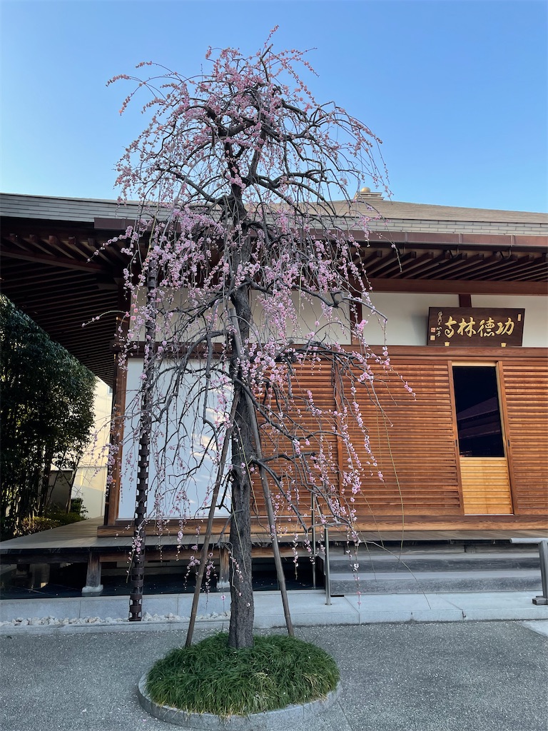 f:id:TokuheiKumagai:20220310222335j:image