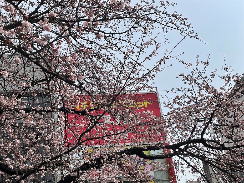 f:id:TokuheiKumagai:20220310222347j:image