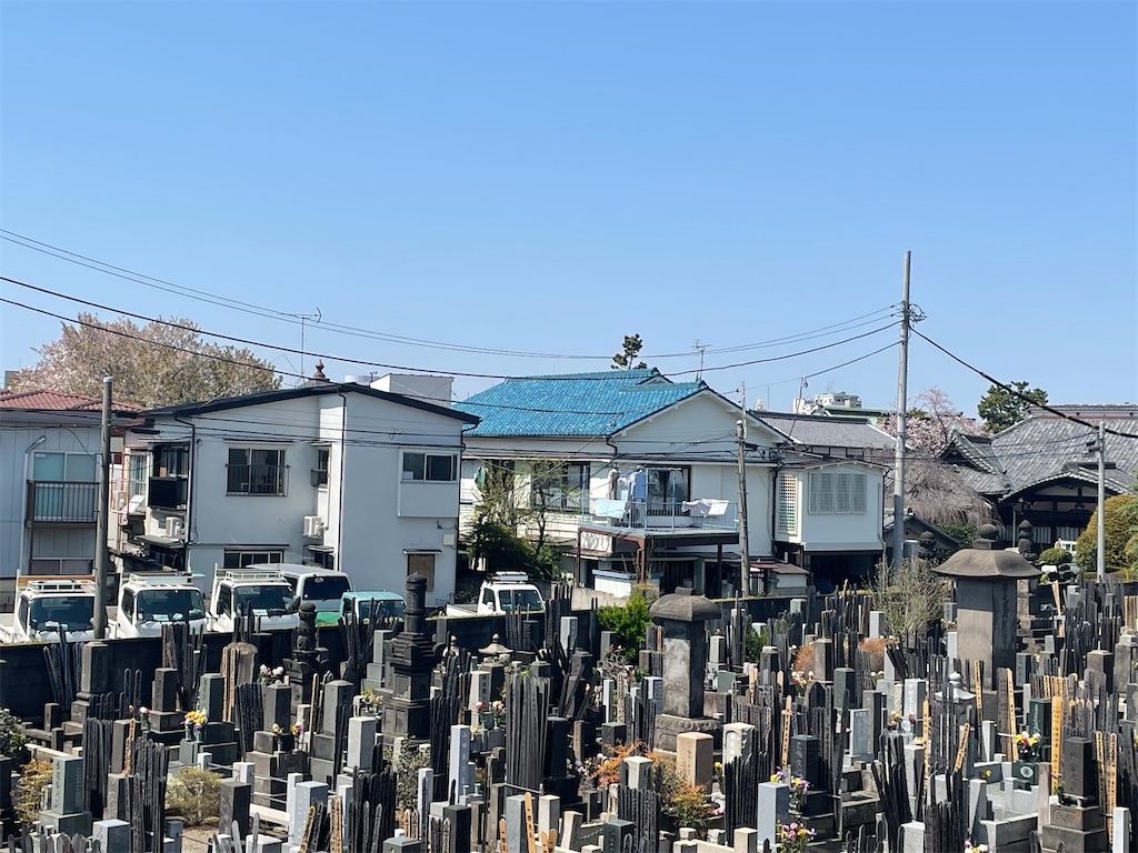 f:id:TokuheiKumagai:20220409073153j:image