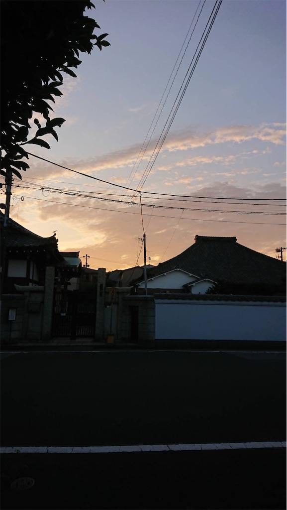 f:id:TokuheiKumagai:20220628192107j:image f:id:TokuheiKumagai:20220628192107j:image