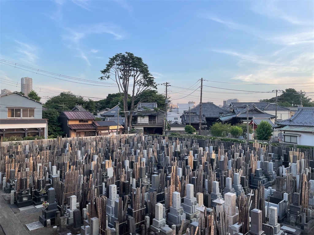 f:id:TokuheiKumagai:20220628192114j:image f:id:TokuheiKumagai:20220628192114j:image