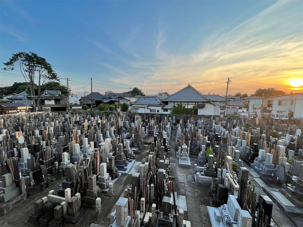 f:id:TokuheiKumagai:20220628192120j:image f:id:TokuheiKumagai:20220628192120j:image