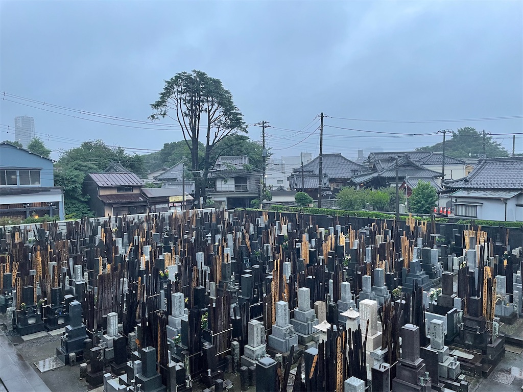 f:id:TokuheiKumagai:20220714200941j:image